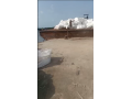 container-terminal-for-sale-at-tedi-small-0