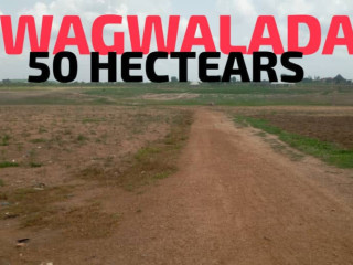 50-hectears-gwagwalada-flat-land
