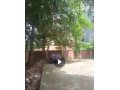 hot-sale-small-0